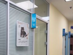 -全心全意连锁动物医院·微创中心·内科急重症·心脏专科(丰管路店)