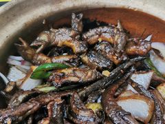 -汤氏美食台山水步特色黄鳝饭(龙津东路店)