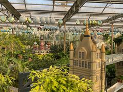 -南宫五洲植物乐园