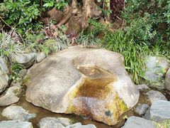 -雁南飞茶田景区