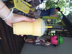 iphone_upload_pic-莓园冰淇淋店