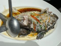 清蒸水库武昌鱼-顺香居·老字号湖北菜(江汉路店)