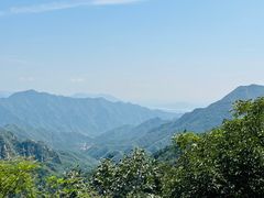 -大岭沟猕猴桃谷风景区