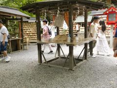 -野宫神社