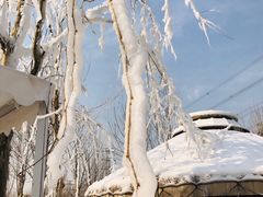 -九十九顶毡房(阜石路店)