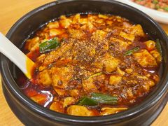 -陈麻婆豆腐总店