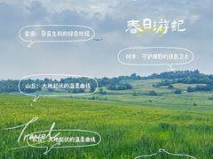 -空港花田景区