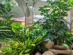 -吕氏疙瘩汤·海鲜新鲁菜(凯德mall新都心店)