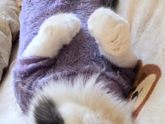 -万达广场(扬州邗江店)