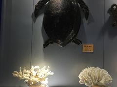 -福州罗源湾海洋世界旅游区