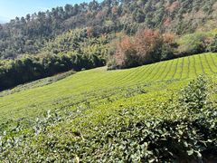 -敬亭山风景名胜区