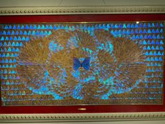 -上海昆虫博物馆