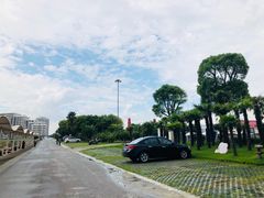 -碧海金沙