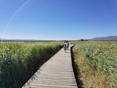 -野鸭湖国家湿地公园