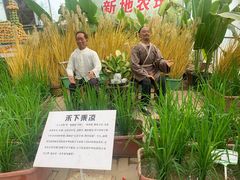 -新地休闲农场