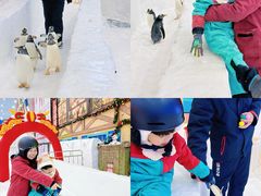-广州热雪奇迹