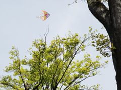 -滆湖低碳生态公园