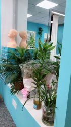 -斐尔国际皮肤管理中心