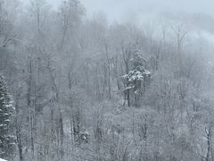 -亚布力新体委滑雪场