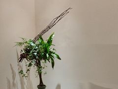 -翁暖茶馆(滨江东总店)