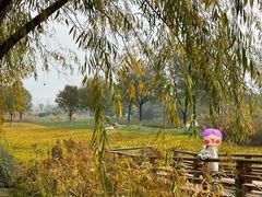 -汉长安城未央宫国家考古遗址公园