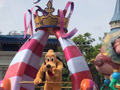 -奥兰多迪士尼动物王国乐园