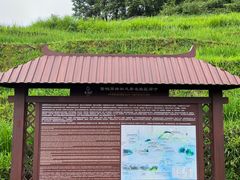 -紫鹊界梯田景区