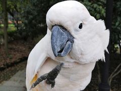 -杭州野生动物世界