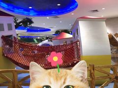 -反斗乐园π·电玩·高空拓展·蹦床(龙华天虹店)