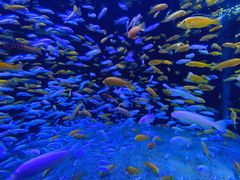 -成都浩海立方海洋公园