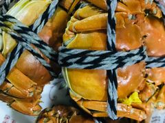 -乡乐园蟹庄·阳澄湖农家乐