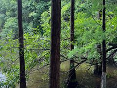-天目湖山水园