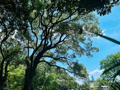 -岳麓山风景名胜区