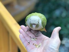 景点-南宫五洲植物乐园