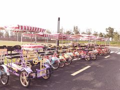 -春花秋色城市公园