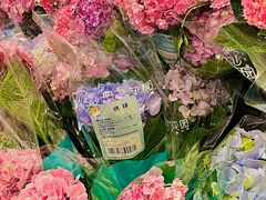 -盒马鲜生(岭南新世界店)