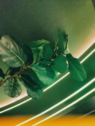 -不迫先生专业男士剪发