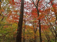 -丹东天桥沟景区
