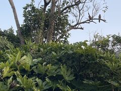 -舟山朱家尖绿城威斯汀度假酒店