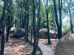 -火炉山森林公园