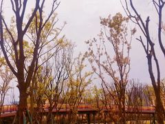 -府河摄影公园