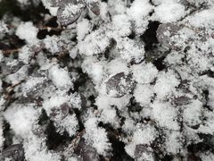 -湘芙蓉·湖南菜(椒江店)