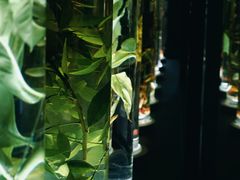-广东中医药博物馆