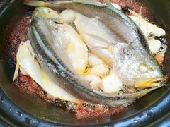 金榜黄花鱼-恭喜上堓砂锅焗·海鲜大排档(闵行龙湖店)