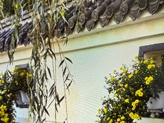 -沈阳植物园