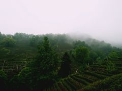 -西湖风景区十里琅珰-五云山