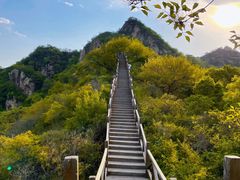 -大岭沟猕猴桃谷风景区