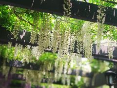 -龙寺生态园