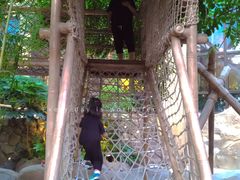 -杭州开元森泊度假乐园