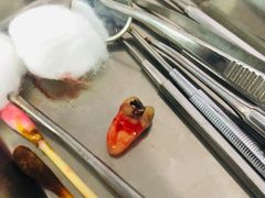 -皓洁口腔门诊部(金色雅园金涛苑店)